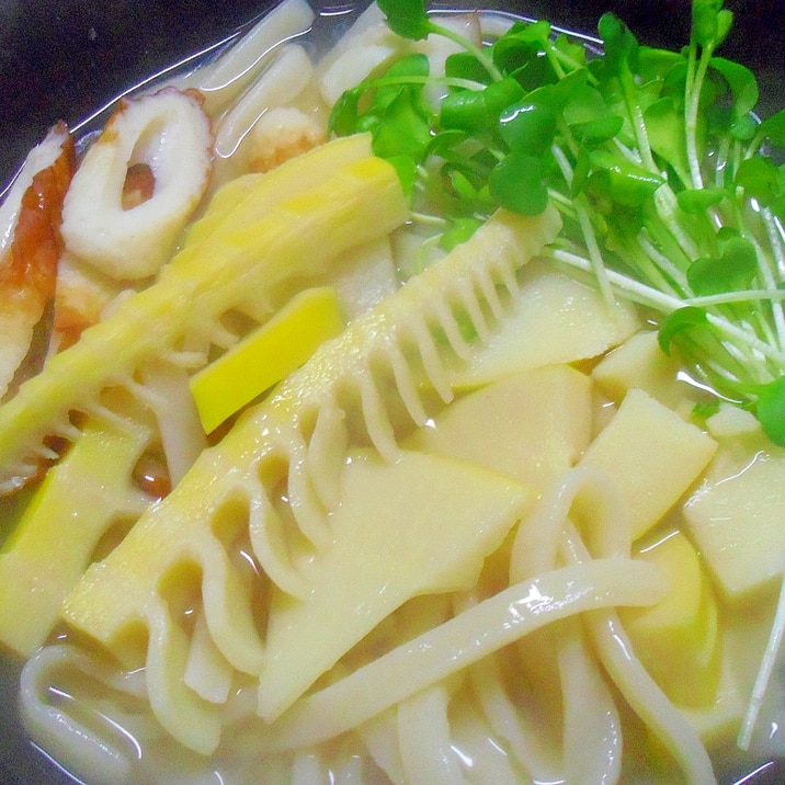 美味しい!たけのこうどん